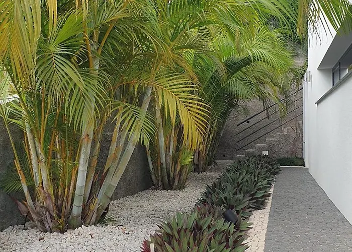 Villa Brava Atlantico